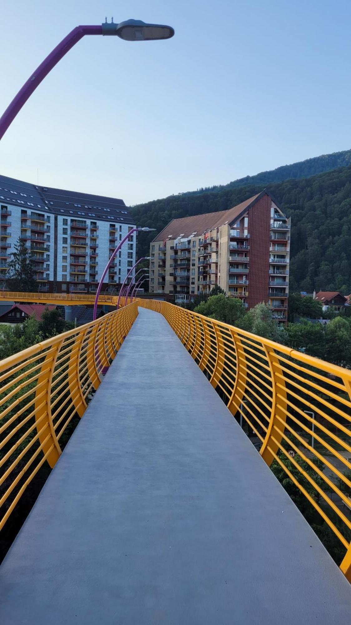 Belleview Family Apartment Sinaia Exterior foto